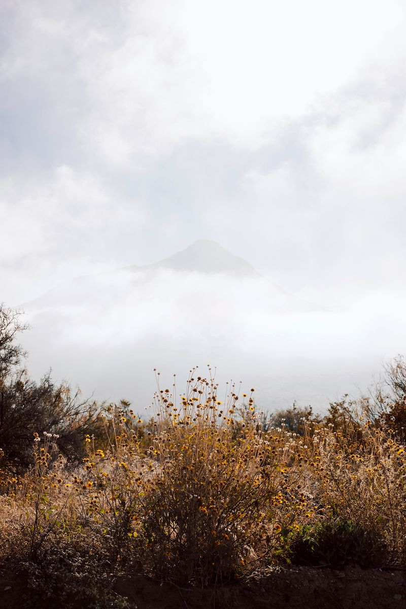 © Ariana Gomez - Image from the My Mother Speaks of Land as Memory photography project