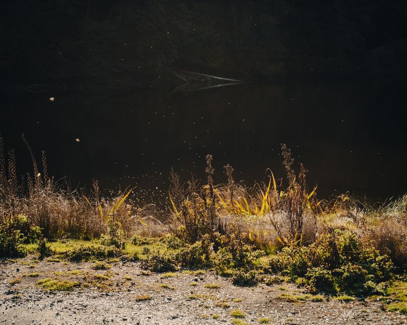 © Ariana Gomez - Image from the My Mother Speaks of Land as Memory photography project