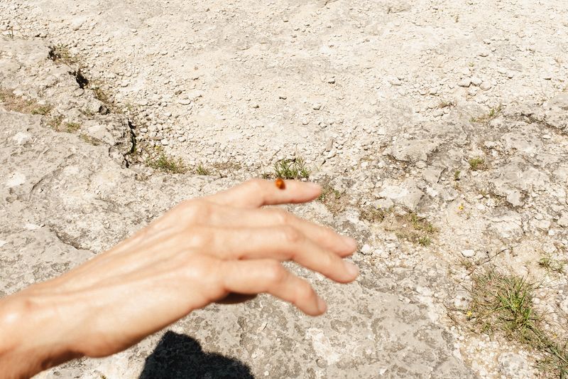 © Ariana Gomez - Image from the My Mother Speaks of Land as Memory photography project