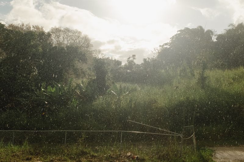 © Ariana Gomez - Image from the My Mother Speaks of Land as Memory photography project