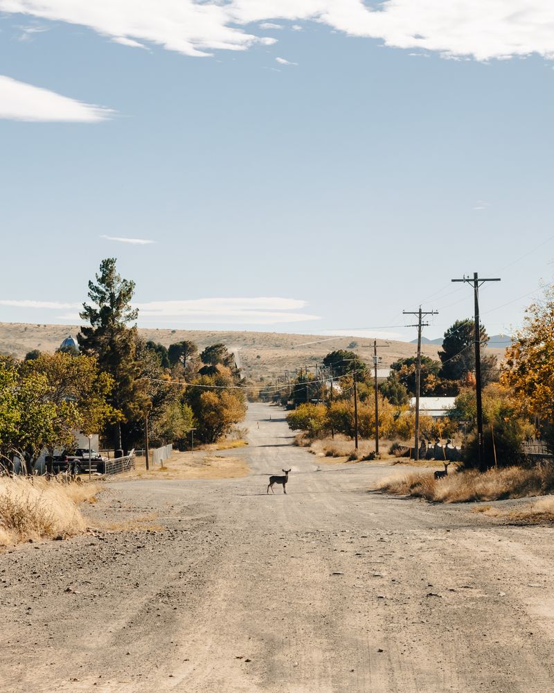 © Ariana Gomez - Image from the My Mother Speaks of Land as Memory photography project