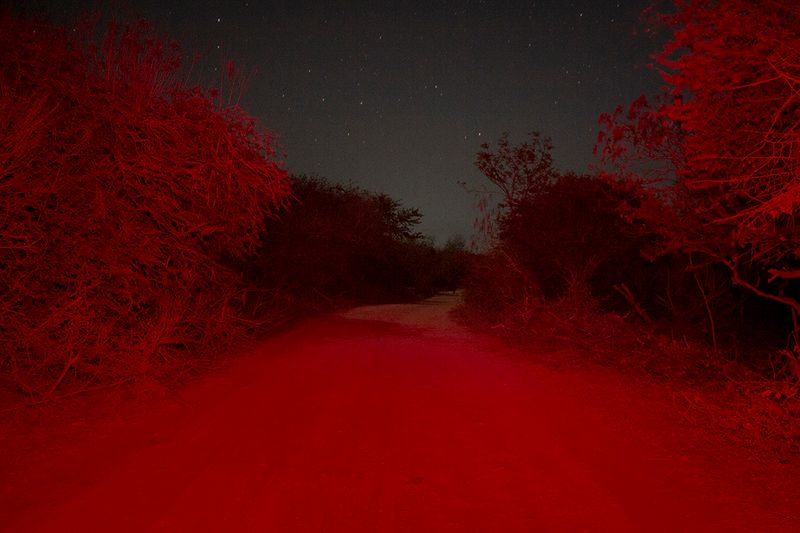 © Alejandra Orosco - Image from the No room for the weak photography project