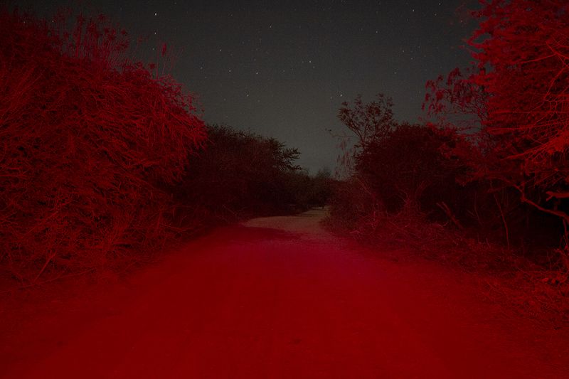 © Alejandra Orosco - Image from the No room for the weak photography project