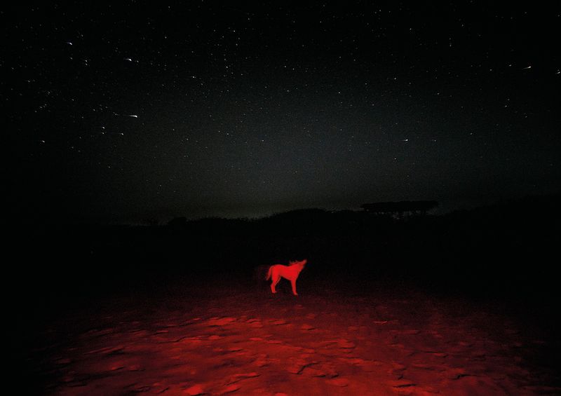 © Alejandra Orosco - Image from the No room for the weak photography project