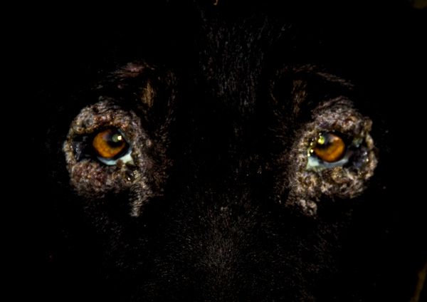 © Alejandra Orosco - Image from the No room for the weak photography project