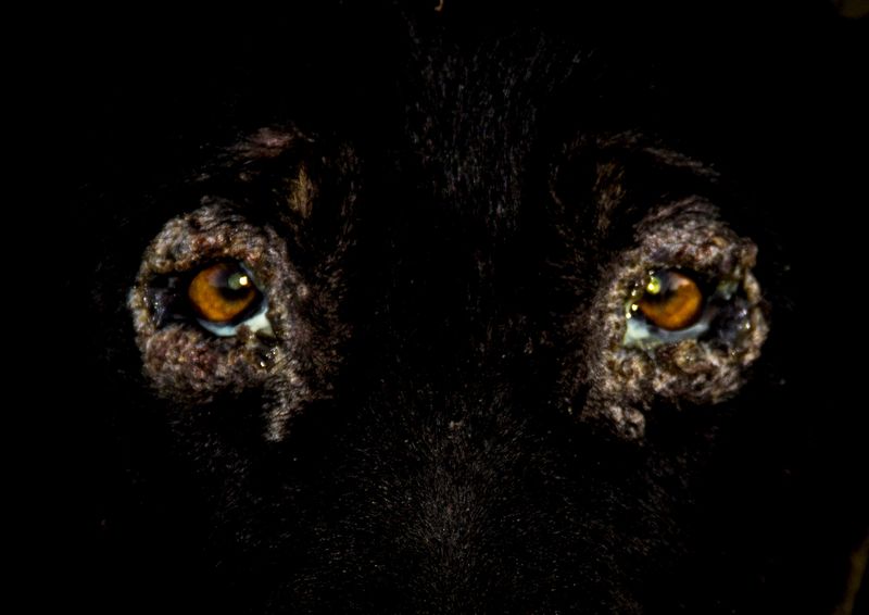 © Alejandra Orosco - Image from the No room for the weak photography project