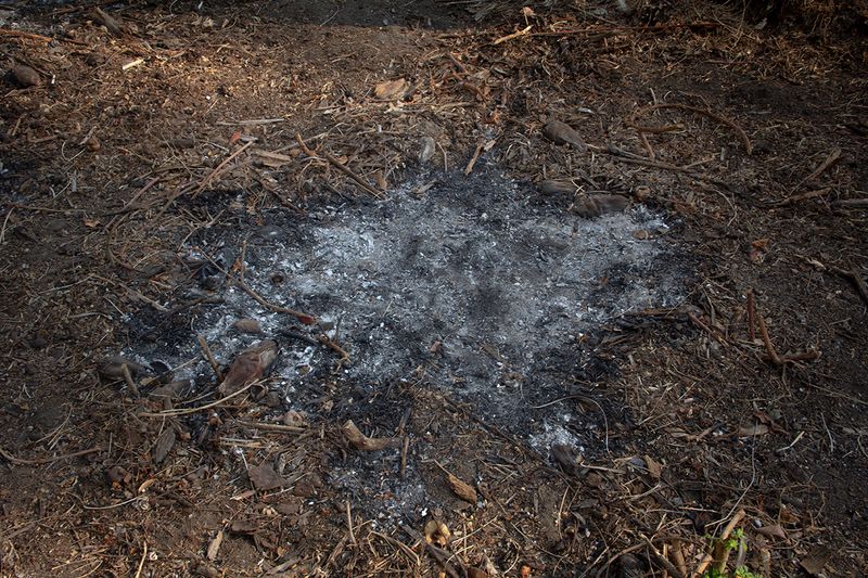 © Alejandra Orosco - Image from the No room for the weak photography project