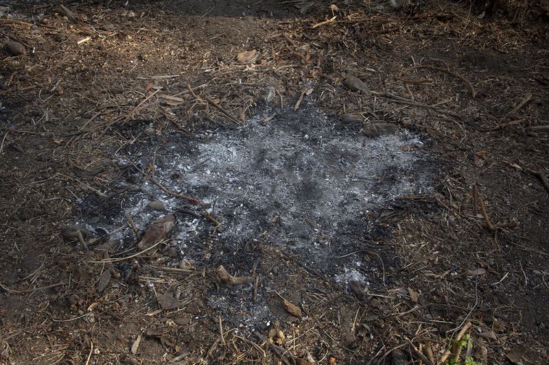 © Alejandra Orosco - Image from the No room for the weak photography project