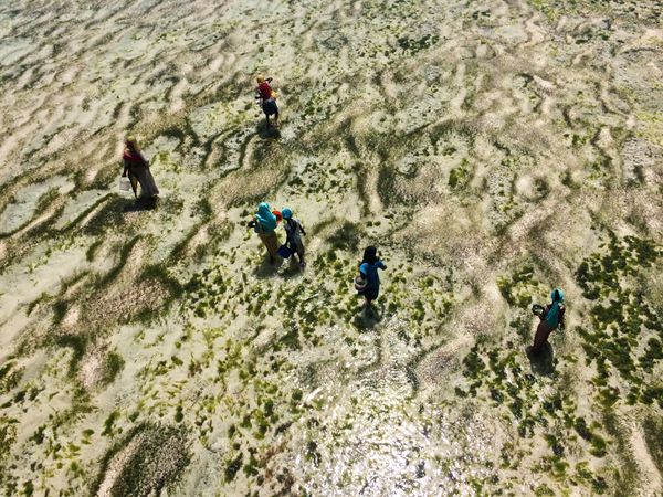 © Nicky Quamina-Woo - Image from the Diurnal Africa photography project