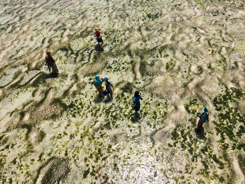 © Nicky Quamina-Woo - Image from the Diurnal Africa photography project