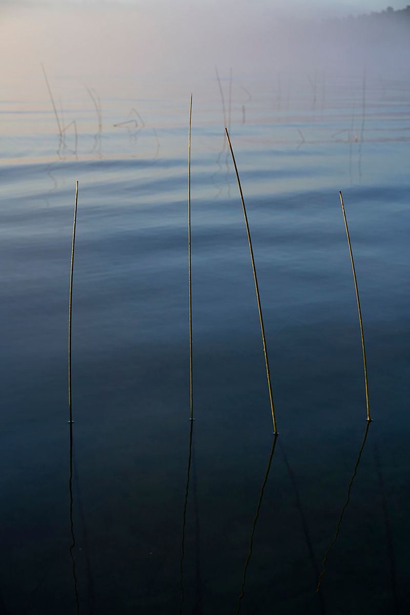 © Anke Loots - Image from the On Stillness photography project