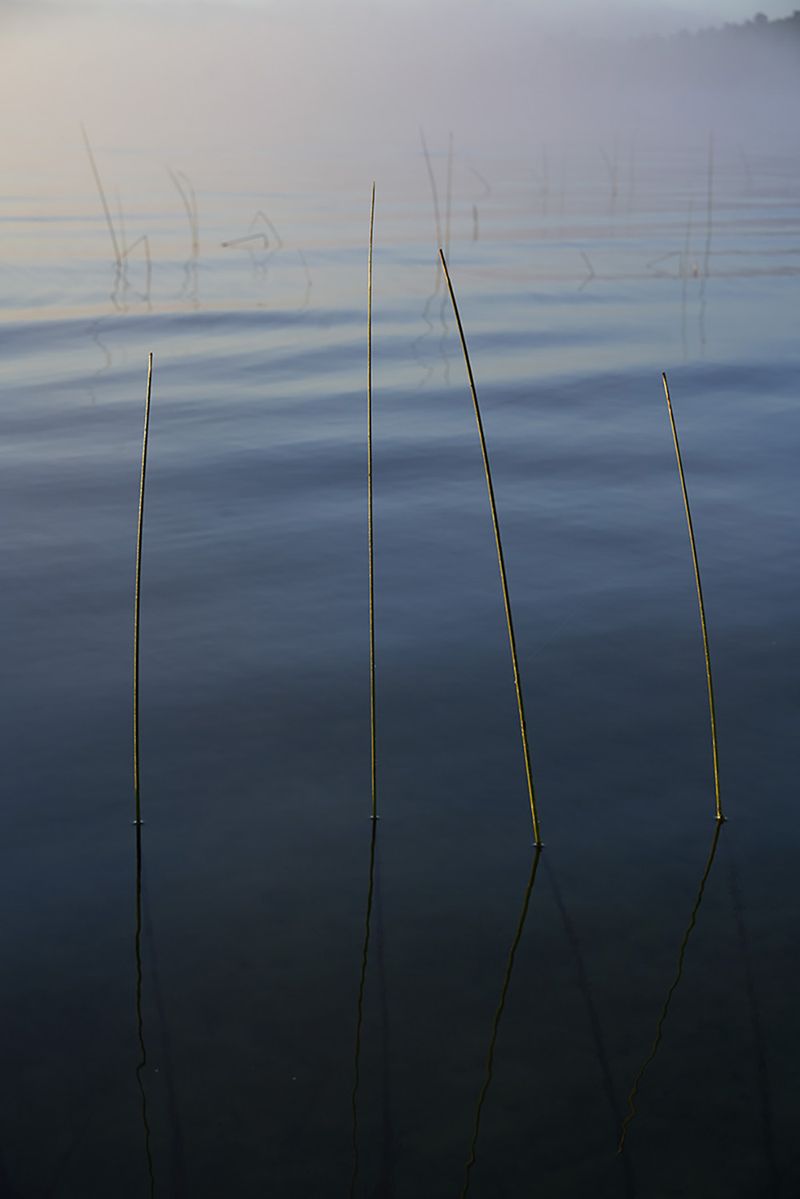© Anke Loots - Image from the On Stillness photography project