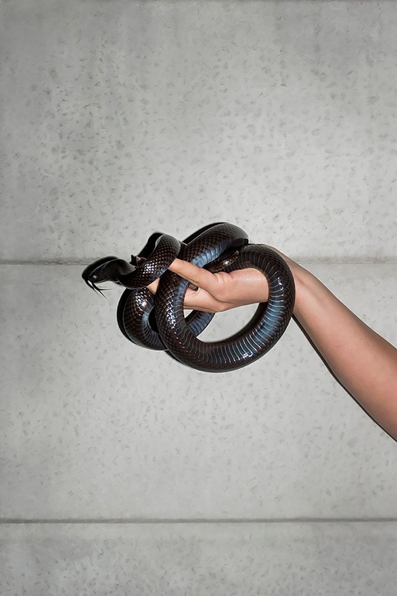 © Anke Loots - Image from the On Stillness photography project