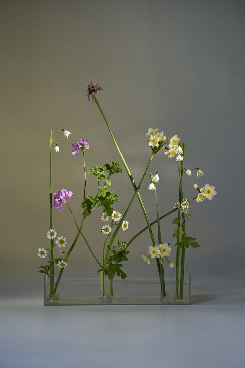 © Anke Loots - Image from the On Stillness photography project
