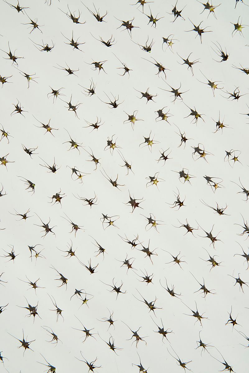 © Anke Loots - Image from the On Stillness photography project