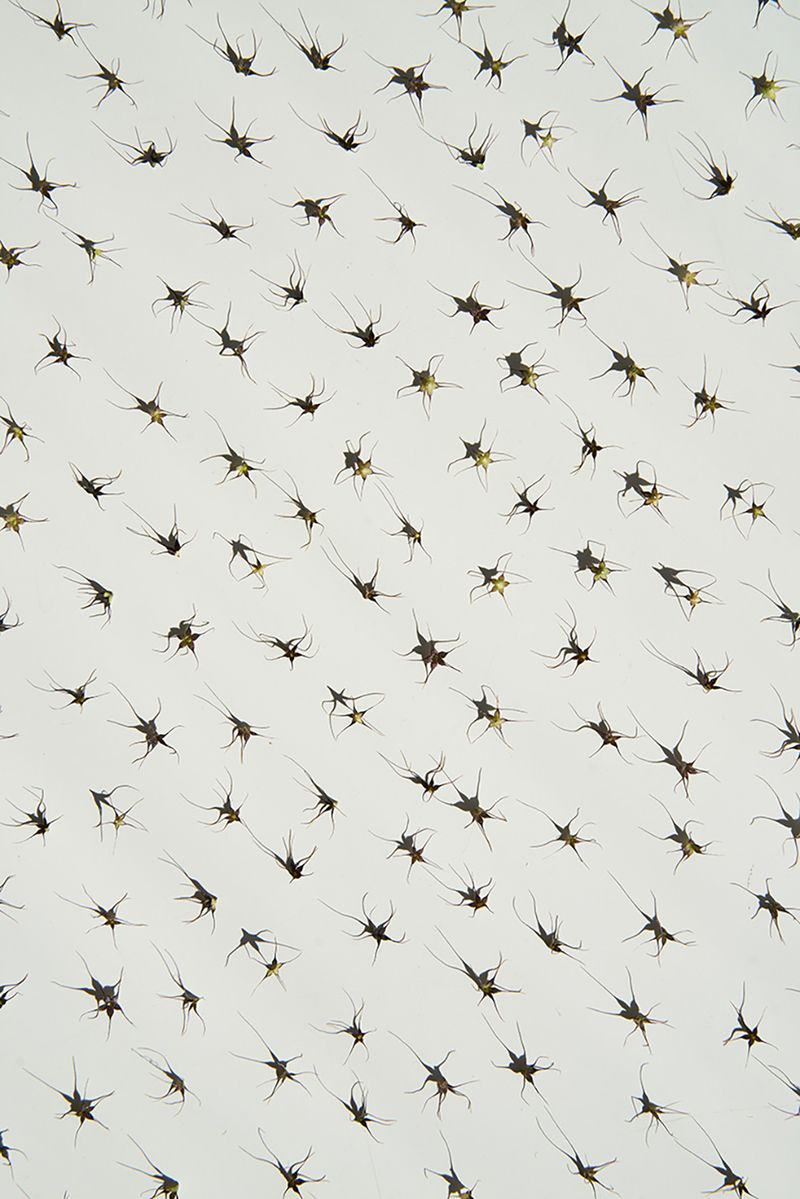 © Anke Loots - Image from the On Stillness photography project