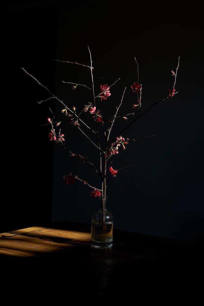 © Anke Loots - Image from the On Stillness photography project