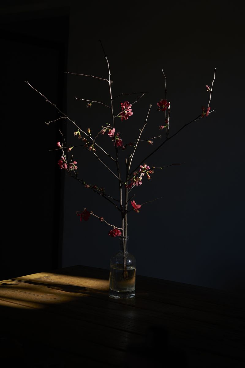 © Anke Loots - Image from the On Stillness photography project