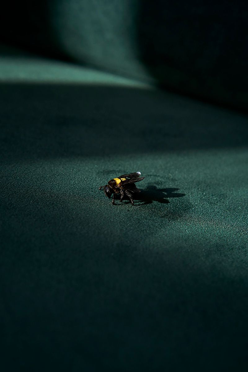 © Anke Loots - Image from the On Stillness photography project