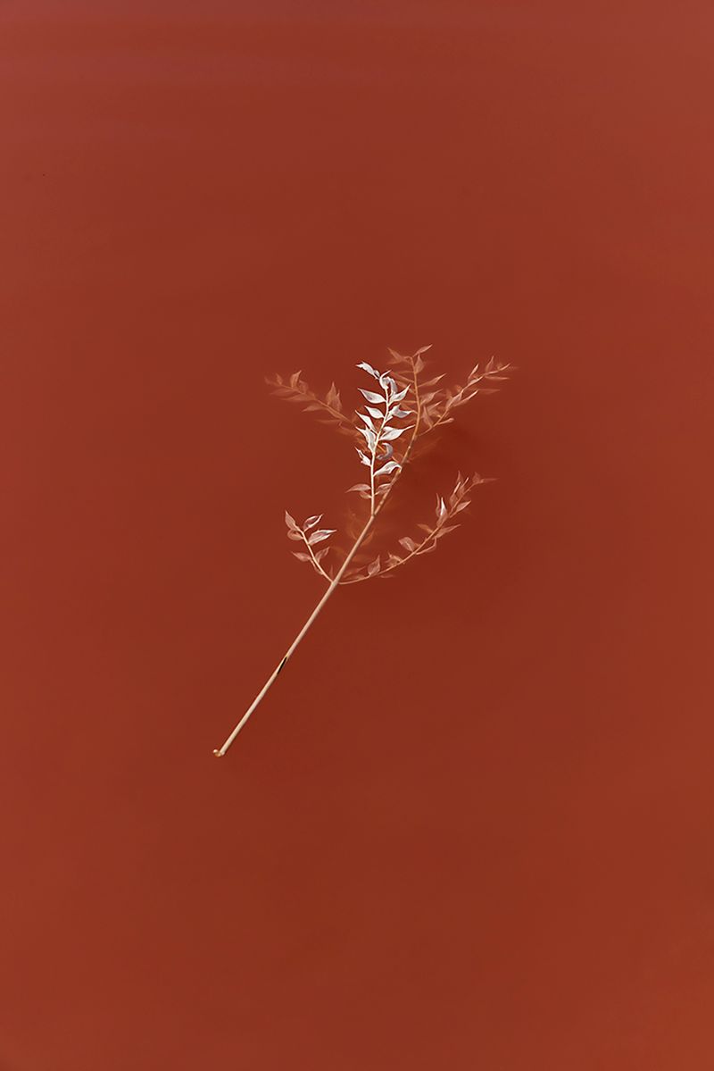 © Anke Loots - Image from the On Stillness photography project