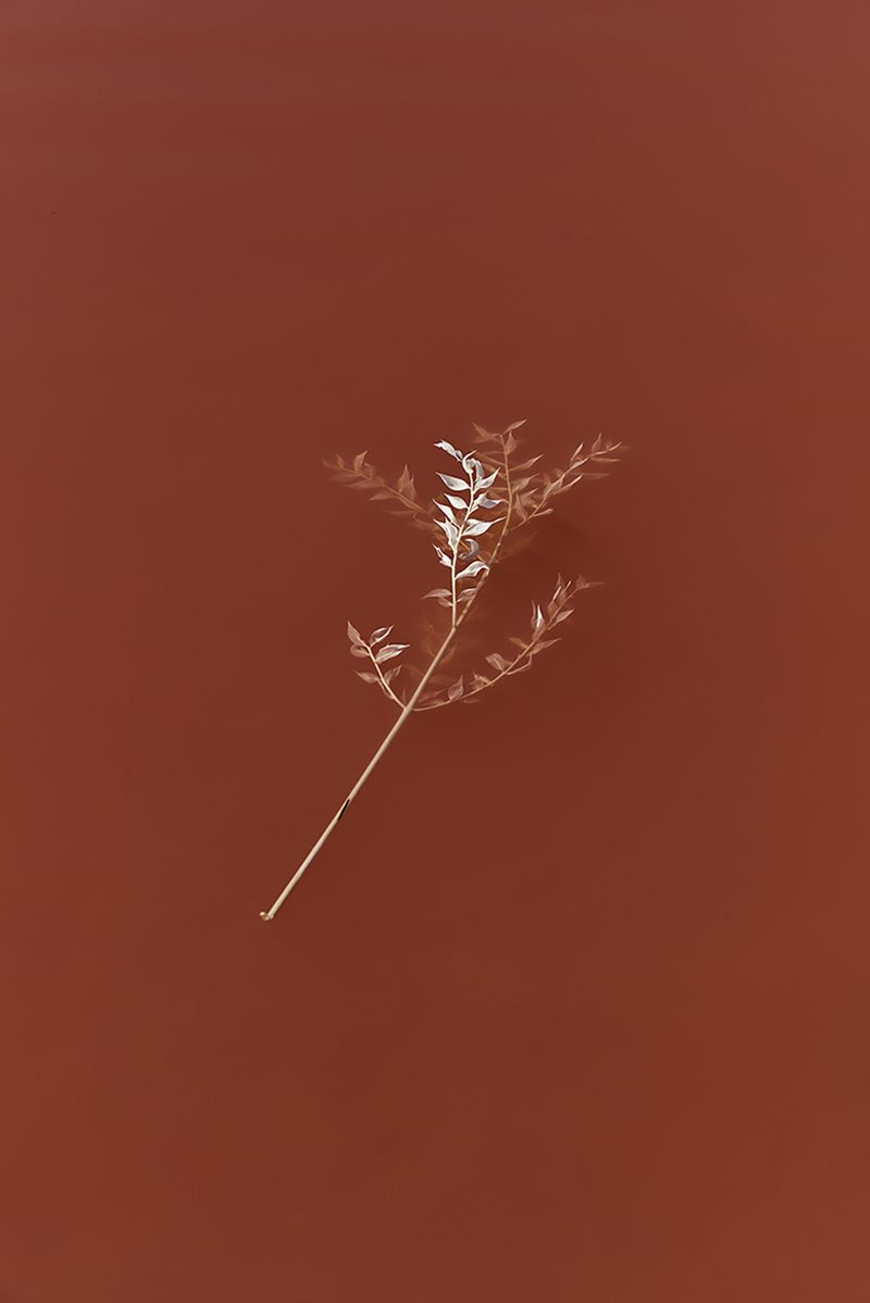 © Anke Loots - Image from the On Stillness photography project
