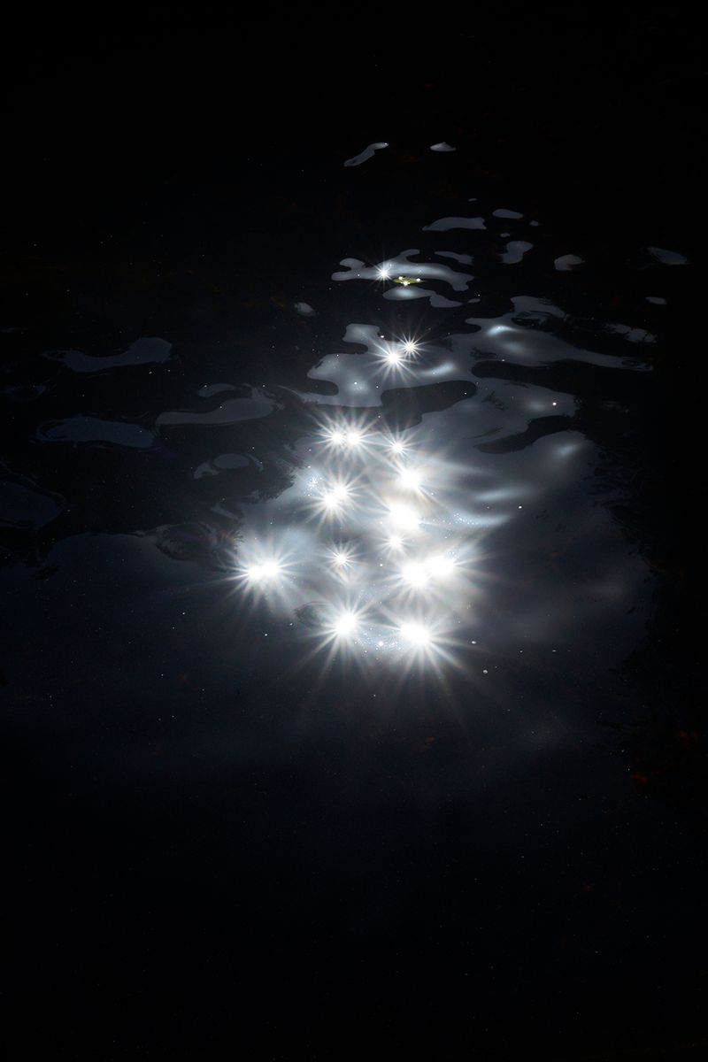 © Anke Loots - Image from the On Stillness photography project