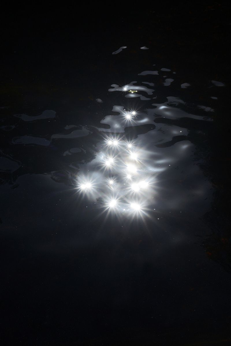 © Anke Loots - Image from the On Stillness photography project
