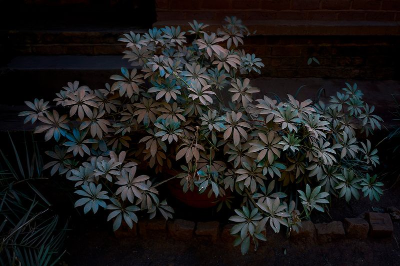 © Anke Loots - Image from the On Stillness photography project