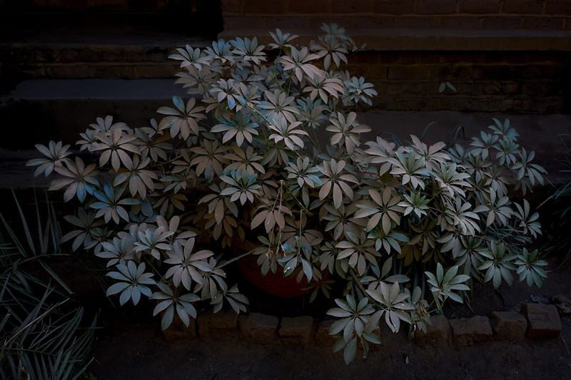 © Anke Loots - Image from the On Stillness photography project