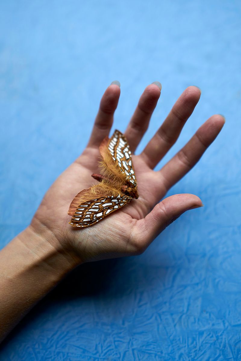 © Anke Loots - Image from the On Stillness photography project