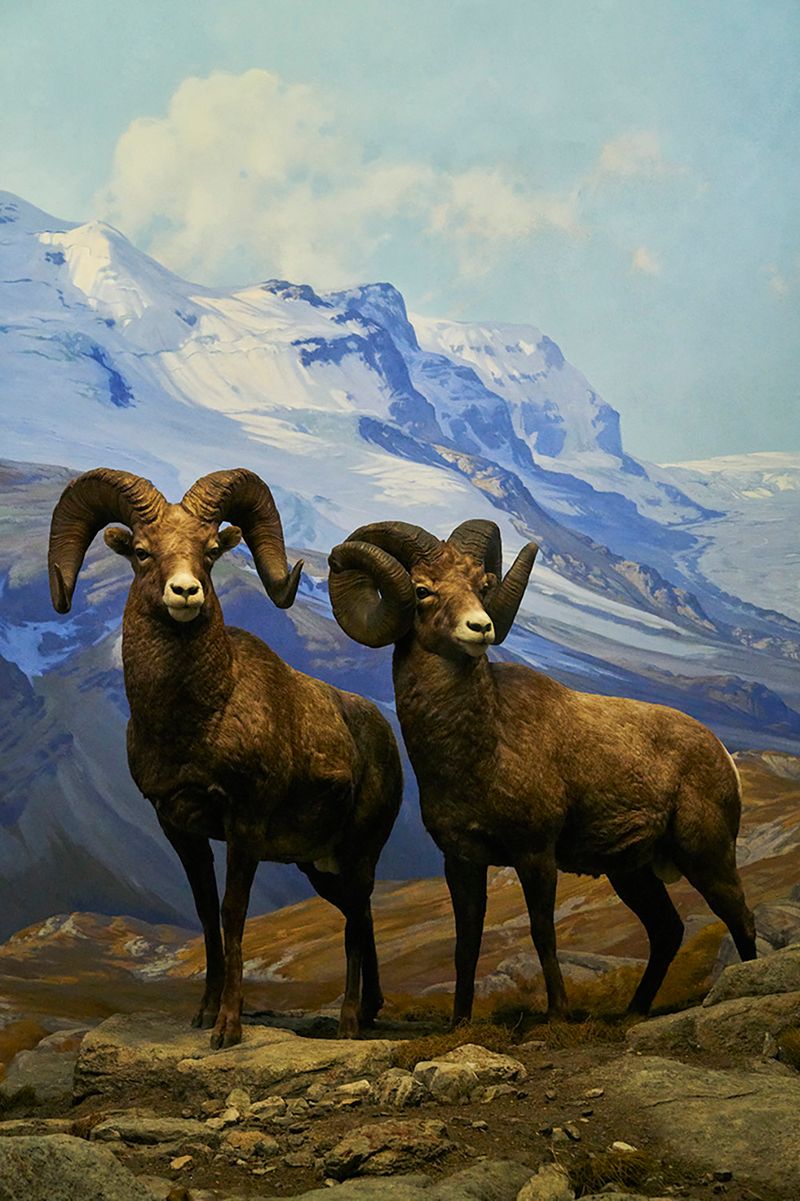 © Anke Loots - Image from the On Stillness photography project