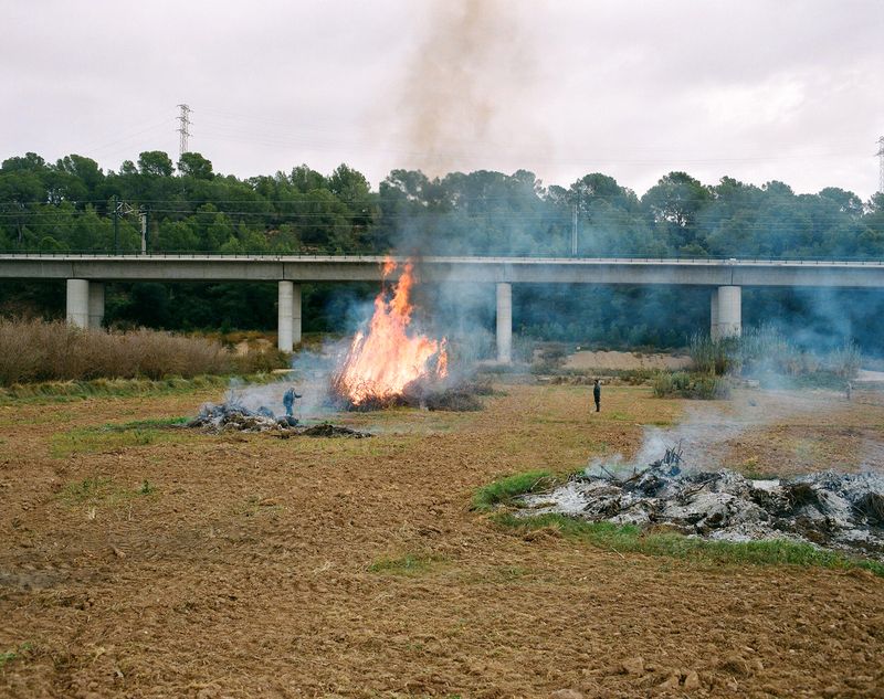 © Edgar dos Santos - 15 - Viaduct near Puigdelfí. Burning the old trees