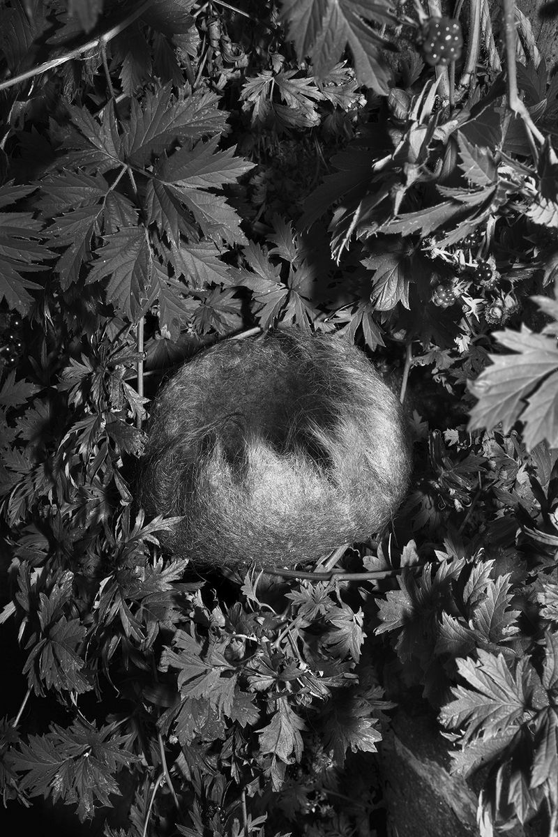 © Elena Helfrecht - Image from the Plexus photography project