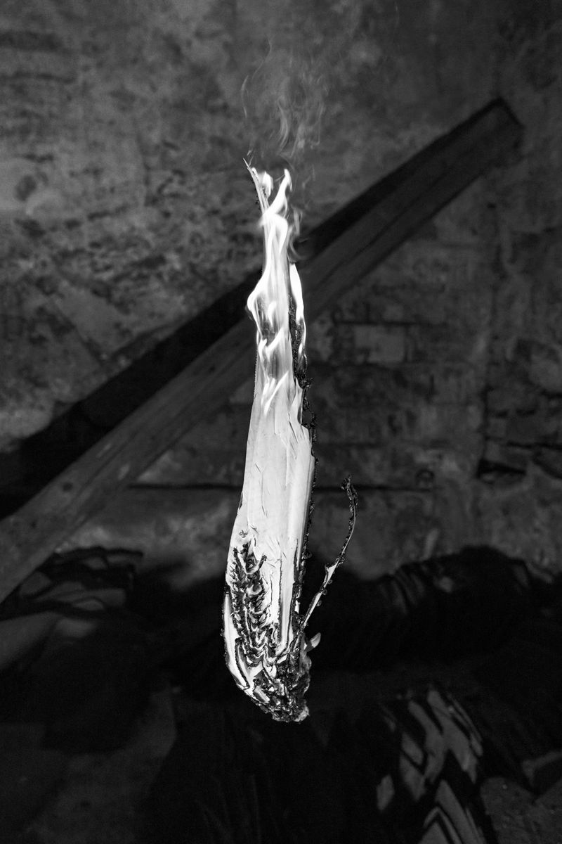 © Elena Helfrecht - Image from the Plexus photography project