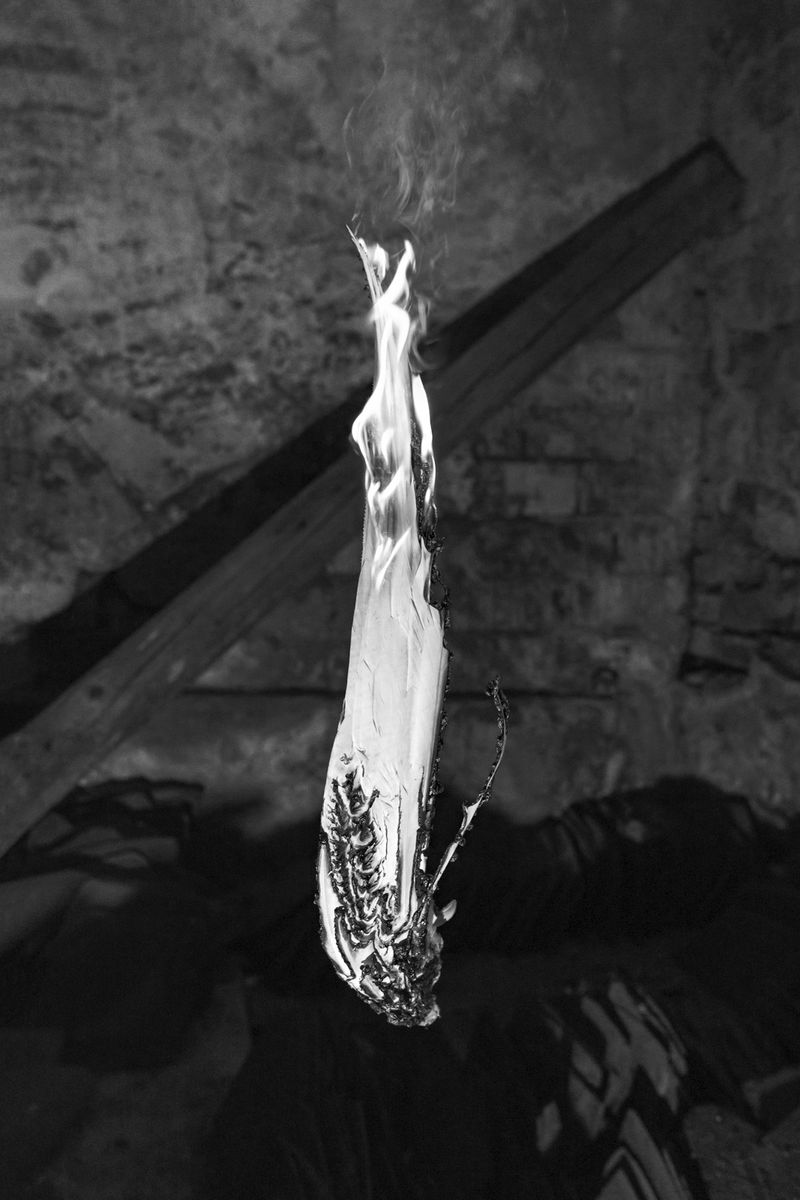 © Elena Helfrecht - Image from the Plexus photography project