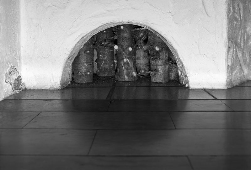 © Elena Helfrecht - Dissection, 2020