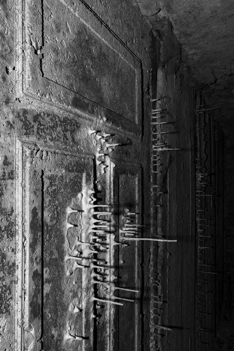 © Elena Helfrecht - Image from the Plexus photography project