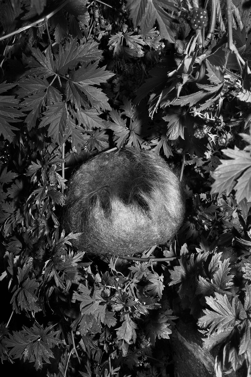 © Elena Helfrecht - Making a Home, 2019 | Sculpture made from own and friends’ hair, collected over the course of a year.