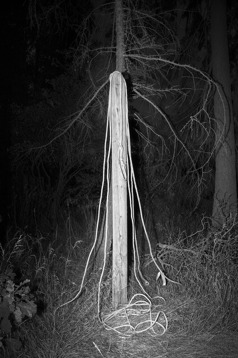 © Elena Helfrecht - First Signs, 2019 | Pole behind a war memorial close to the forest border.