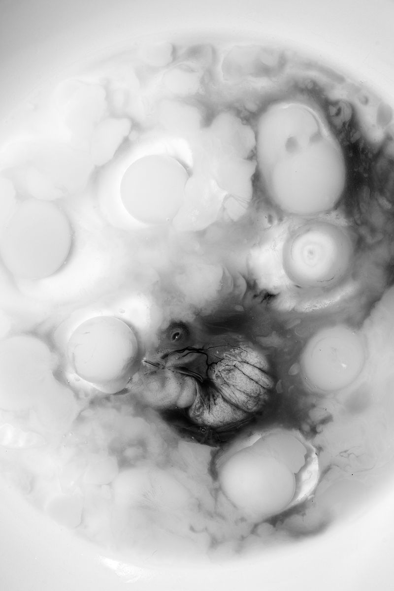 © Elena Helfrecht - The Incident, 2020