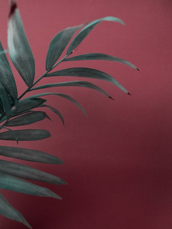 © Bianca Salvo - Image from the The Contact Zone photography project