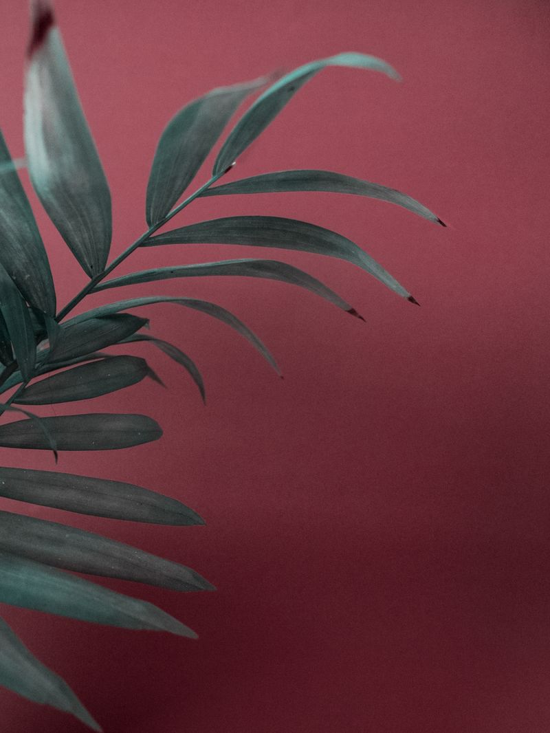 © Bianca Salvo - Image from the The Contact Zone photography project