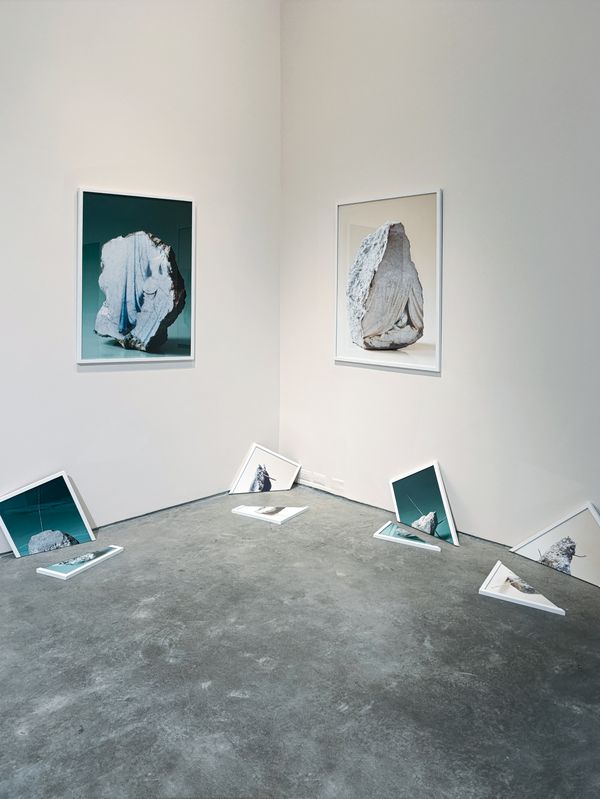 © Bianca Salvo - Image from the When Statues Fall photography project