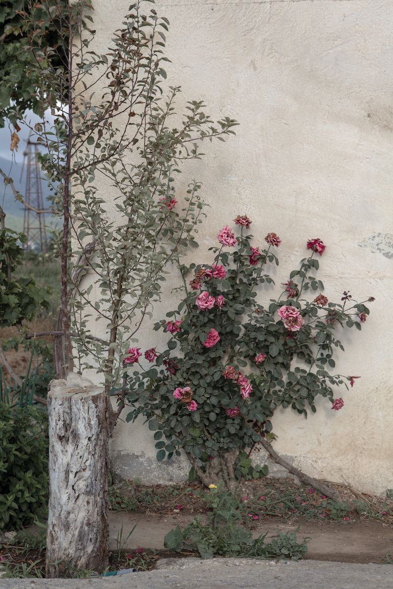 © Panos Charalampidis + Mary Chairetaki - Image from the Cornucopia photography project
