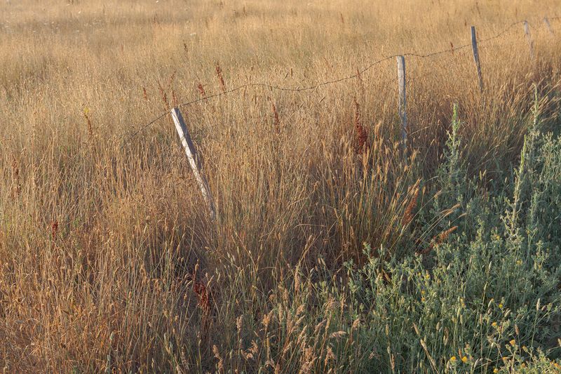 © Panos Charalampidis + Mary Chairetaki - Image from the Cornucopia photography project