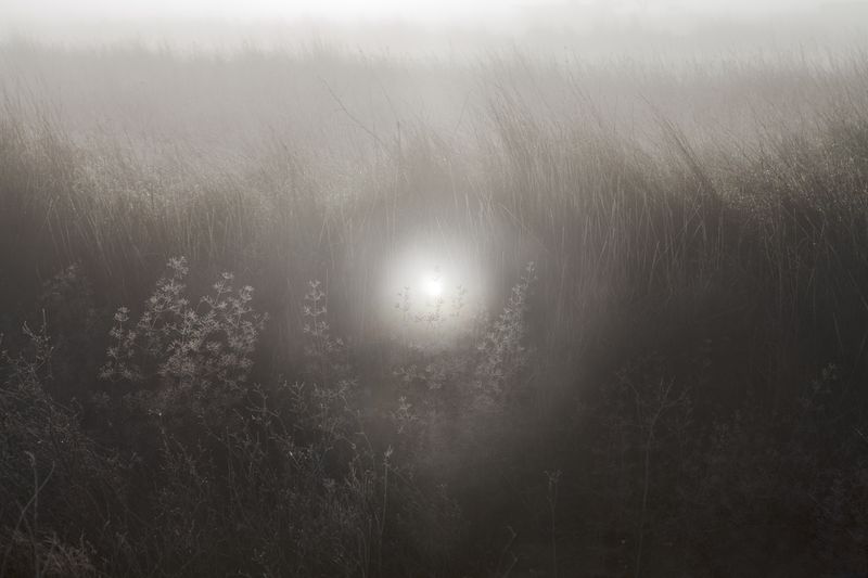 © Panos Charalampidis + Mary Chairetaki - Ignis fatuus. "Foolish fire". Digital painting over photograph.