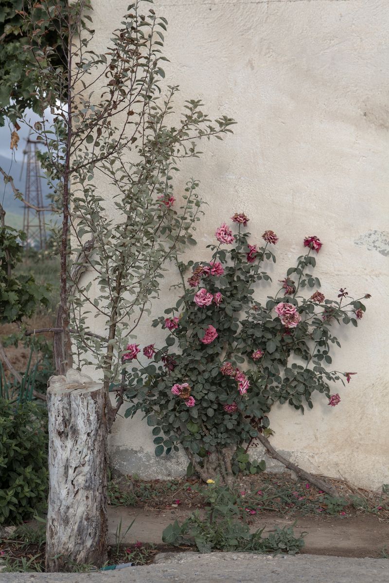© Panos Charalampidis + Mary Chairetaki - Image from the Cornucopia photography project