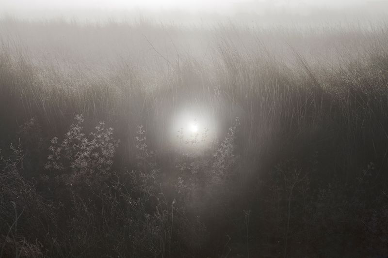 © Panos Charalampidis + Mary Chairetaki - Ignis fatuus. "Foolish fire". Digital painting over photograph.