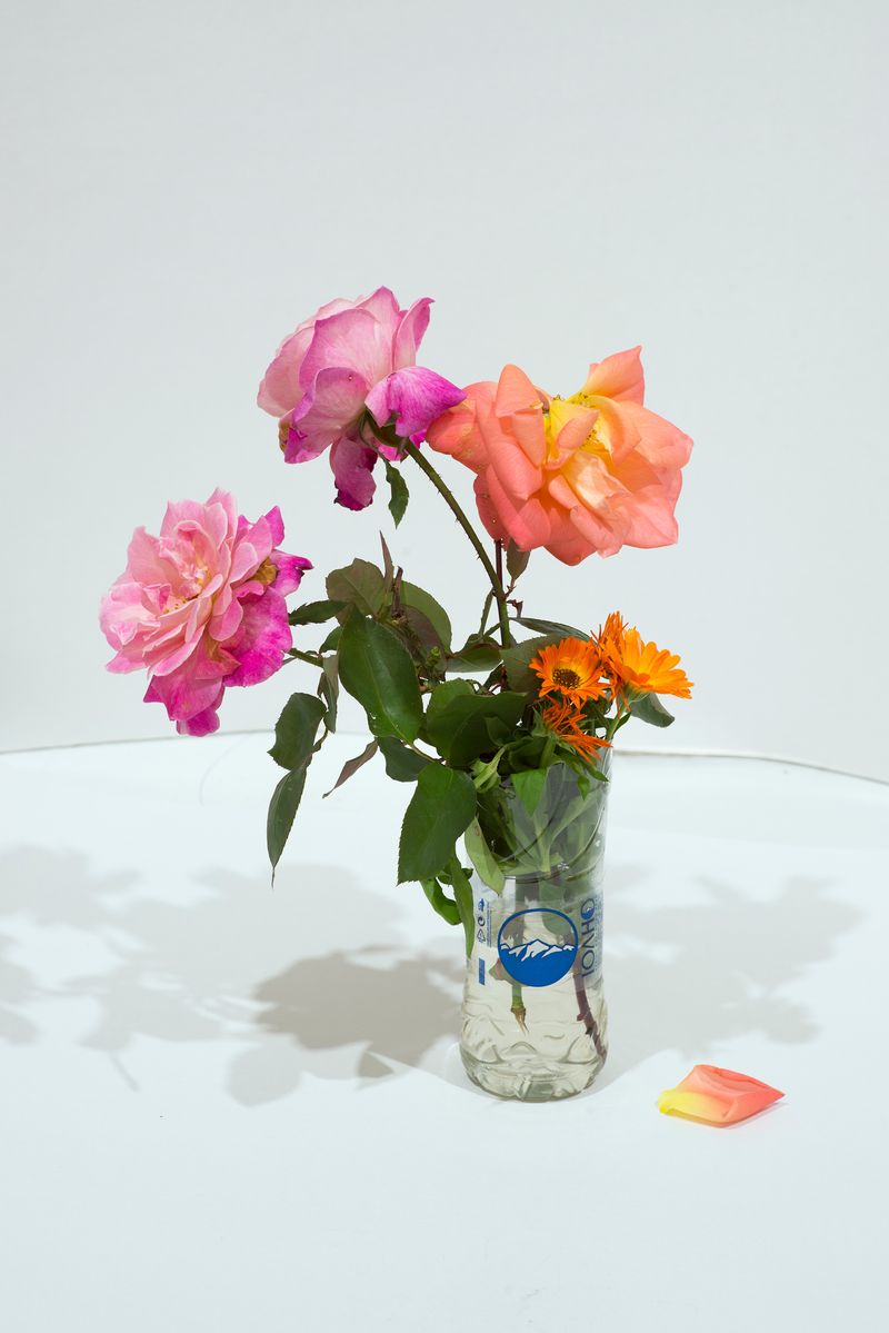 © Panos Charalampidis + Mary Chairetaki - Image from the second chance photography project