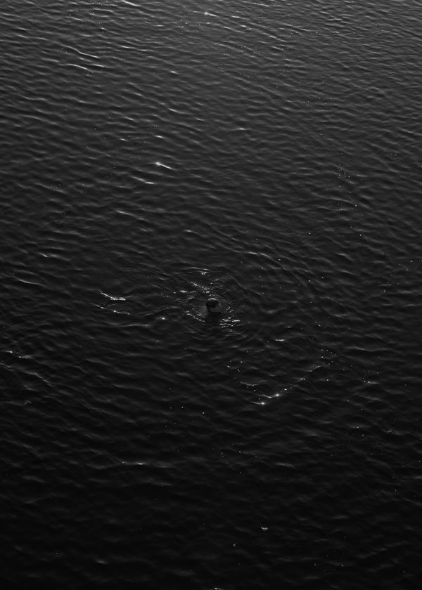 © Pernille Sandberg - A boy swimming in the Dnipro River.